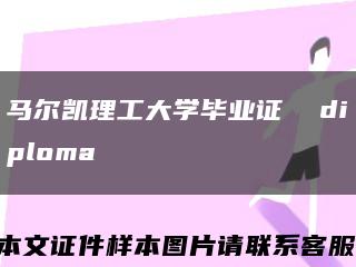 马尔凯理工大学毕业证  diploma缩略图