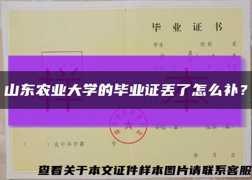 山东农业大学的毕业证丢了怎么补？缩略图