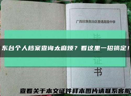 东台个人档案查询太麻烦？看这里一招搞定！缩略图