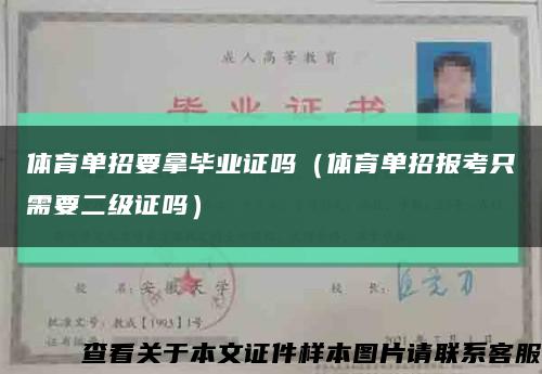 体育单招要拿毕业证吗（体育单招报考只需要二级证吗）缩略图