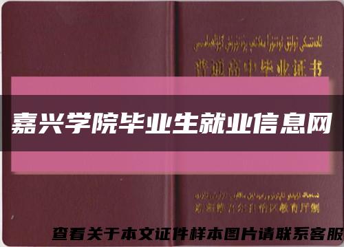 嘉兴学院毕业生就业信息网缩略图