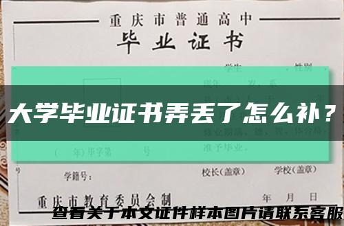 大学毕业证书弄丢了怎么补？缩略图