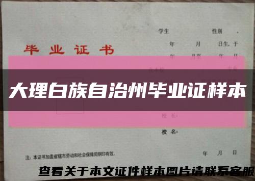 大理白族自治州毕业证样本缩略图