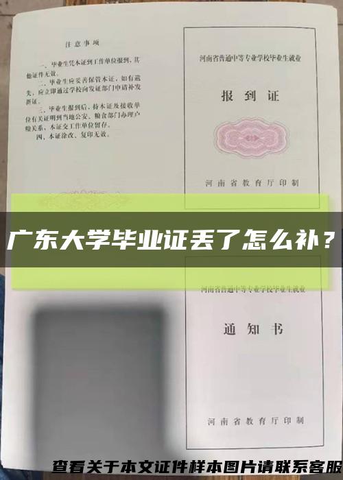 广东大学毕业证丢了怎么补？缩略图