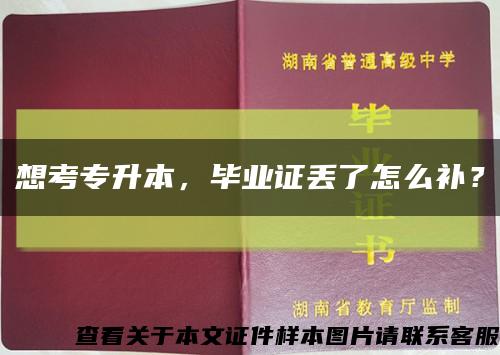 想考专升本，毕业证丢了怎么补？缩略图