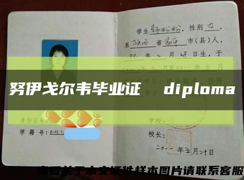 努伊戈尔韦毕业证  diploma缩略图