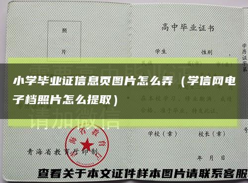 小学毕业证信息页图片怎么弄（学信网电子档照片怎么提取）缩略图