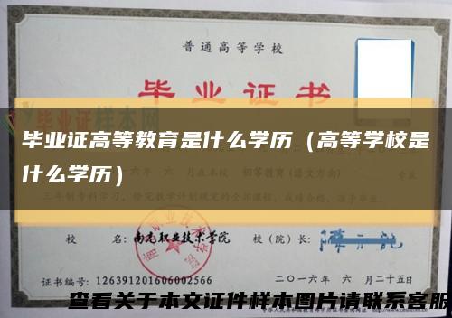 毕业证高等教育是什么学历（高等学校是什么学历）缩略图