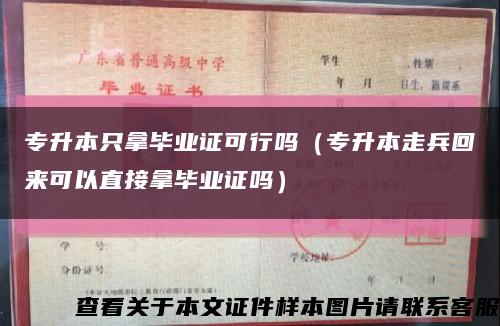 专升本只拿毕业证可行吗（专升本走兵回来可以直接拿毕业证吗）缩略图