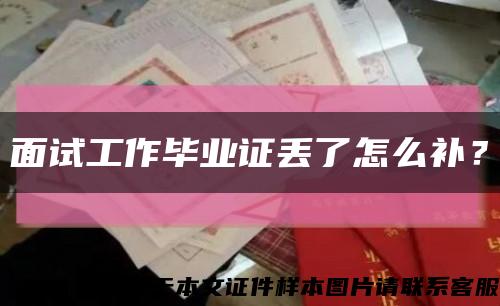 面试工作毕业证丢了怎么补？缩略图