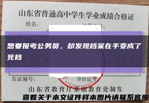 想要报考公务员，却发现档案在手变成了死档缩略图