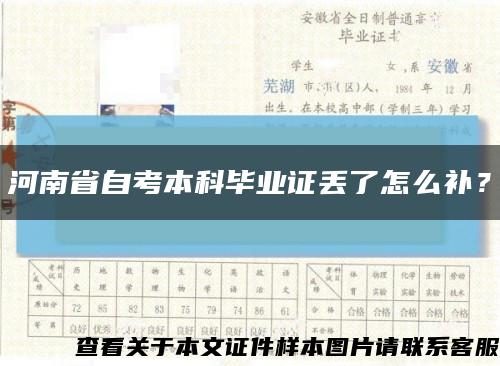 河南省自考本科毕业证丢了怎么补？缩略图