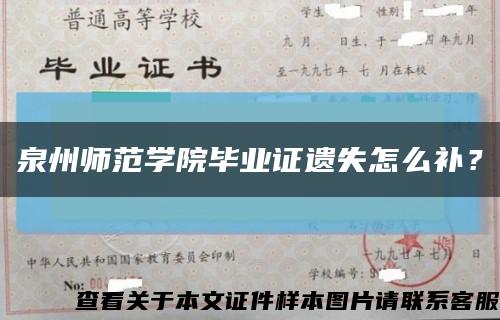 泉州师范学院毕业证遗失怎么补？缩略图