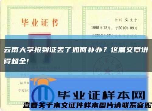 云南大学报到证丢了如何补办？这篇文章讲得超全!缩略图