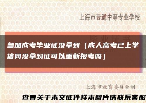 参加成考毕业证没拿到（成人高考已上学信网没拿到证可以重新报考吗）缩略图