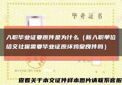 入职毕业证要原件是为什么（新入职单位给交社保需要毕业证原坏鸡皇良件吗）缩略图