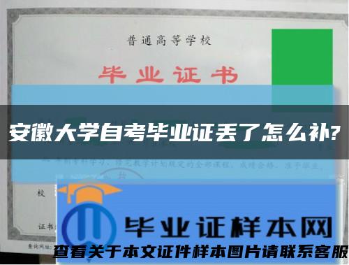 安徽大学自考毕业证丢了怎么补?缩略图