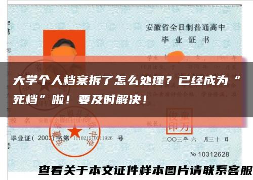 大学个人档案拆了怎么处理？已经成为“死档”啦！要及时解决！缩略图