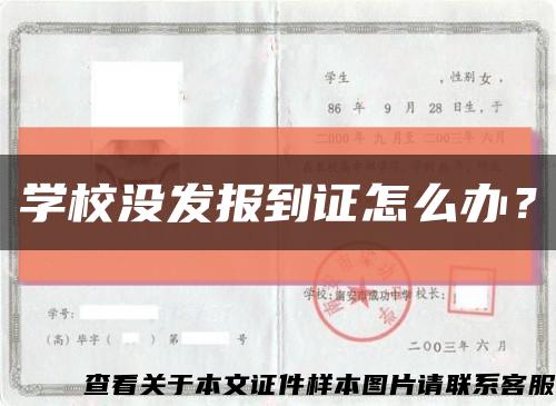 学校没发报到证怎么办？缩略图