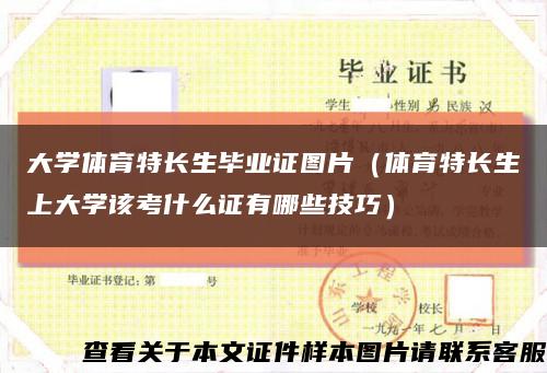 大学体育特长生毕业证图片（体育特长生上大学该考什么证有哪些技巧）缩略图