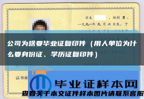 公司为啥要毕业证复印件（用人单位为什么要身份证、学历证复印件）缩略图