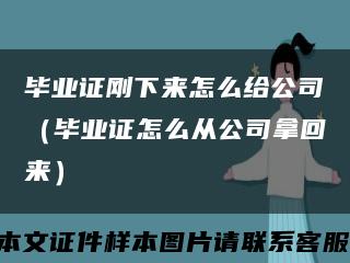 毕业证刚下来怎么给公司（毕业证怎么从公司拿回来）缩略图