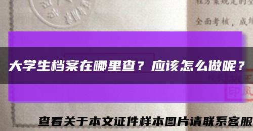 大学生档案在哪里查？应该怎么做呢？缩略图