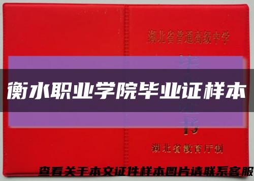 衡水职业学院毕业证样本缩略图