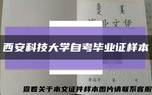 西安科技大学自考毕业证样本缩略图