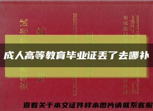 成人高等教育毕业证丢了去哪补缩略图