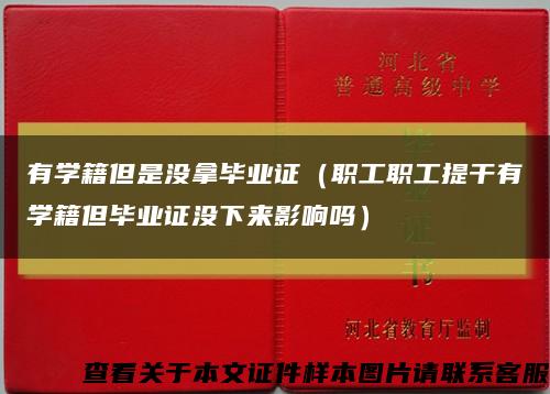 有学籍但是没拿毕业证（职工职工提干有学籍但毕业证没下来影响吗）缩略图