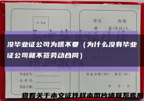 没毕业证公司为啥不要（为什么没有毕业证公司就不签劳动合同）缩略图