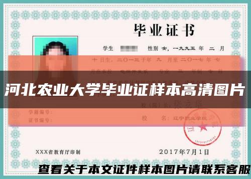 河北农业大学毕业证样本高清图片缩略图