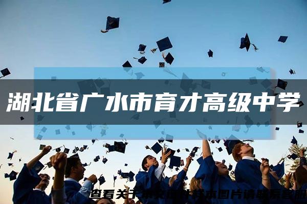 湖北省广水市育才高级中学缩略图