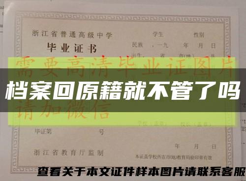 档案回原籍就不管了吗缩略图