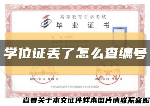 学位证丢了怎么查编号缩略图