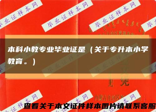 本科小教专业毕业证是（关于专升本小学教育。）缩略图