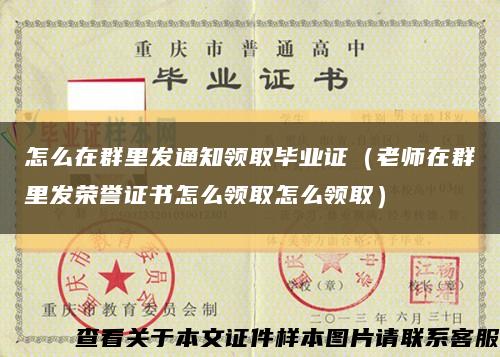 怎么在群里发通知领取毕业证（老师在群里发荣誉证书怎么领取怎么领取）缩略图