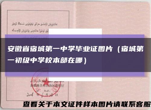 安徽省宿城第一中学毕业证图片（宿城第一初级中学校本部在哪）缩略图