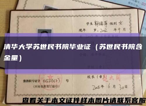 清华大学苏世民书院毕业证（苏世民书院含金量）缩略图