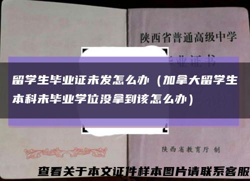 留学生毕业证未发怎么办（加拿大留学生本科未毕业学位没拿到该怎么办）缩略图