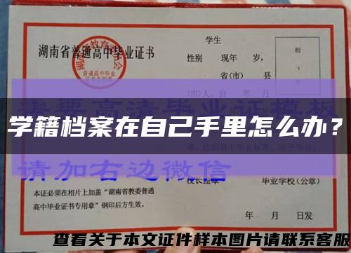 学籍档案在自己手里怎么办？缩略图