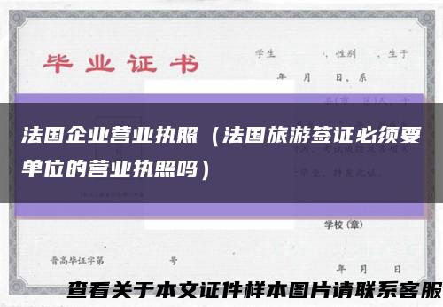 法国企业营业执照（法国旅游签证必须要单位的营业执照吗）缩略图