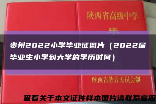 贵州2022小学毕业证图片（2022届毕业生小学到大学的学历时间）缩略图