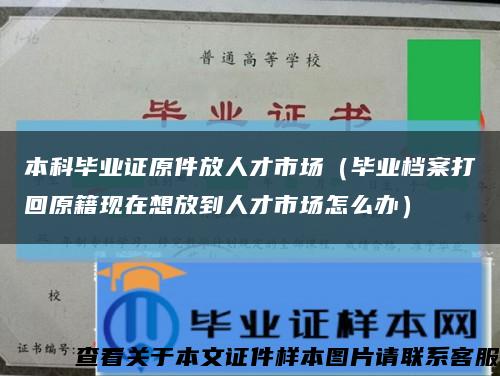 本科毕业证原件放人才市场（毕业档案打回原籍现在想放到人才市场怎么办）缩略图