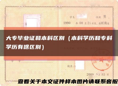 大专毕业证和本科区别（本科学历和专科学历有啥区别）缩略图