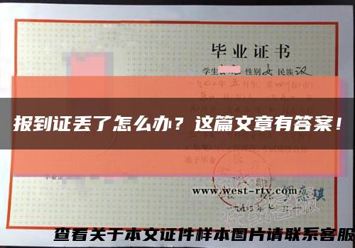 报到证丢了怎么办？这篇文章有答案！缩略图