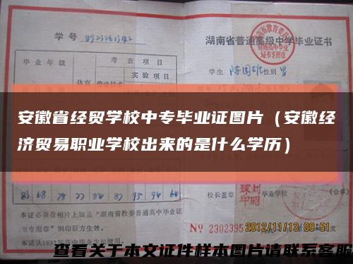 安徽省经贸学校中专毕业证图片（安徽经济贸易职业学校出来的是什么学历）缩略图