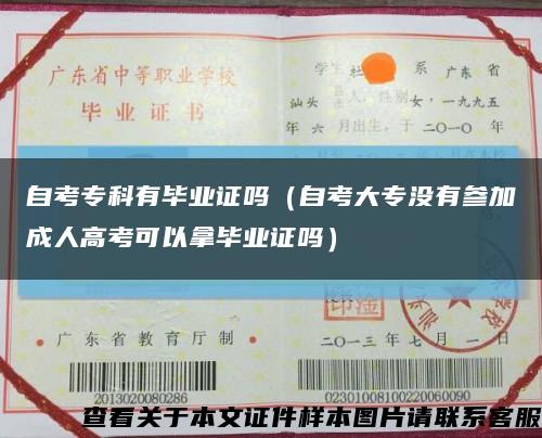 自考专科有毕业证吗（自考大专没有参加成人高考可以拿毕业证吗）缩略图