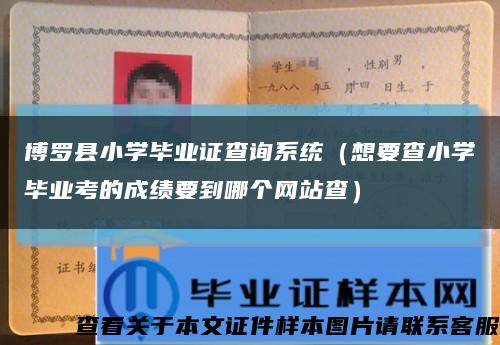 博罗县小学毕业证查询系统（想要查小学毕业考的成绩要到哪个网站查）缩略图